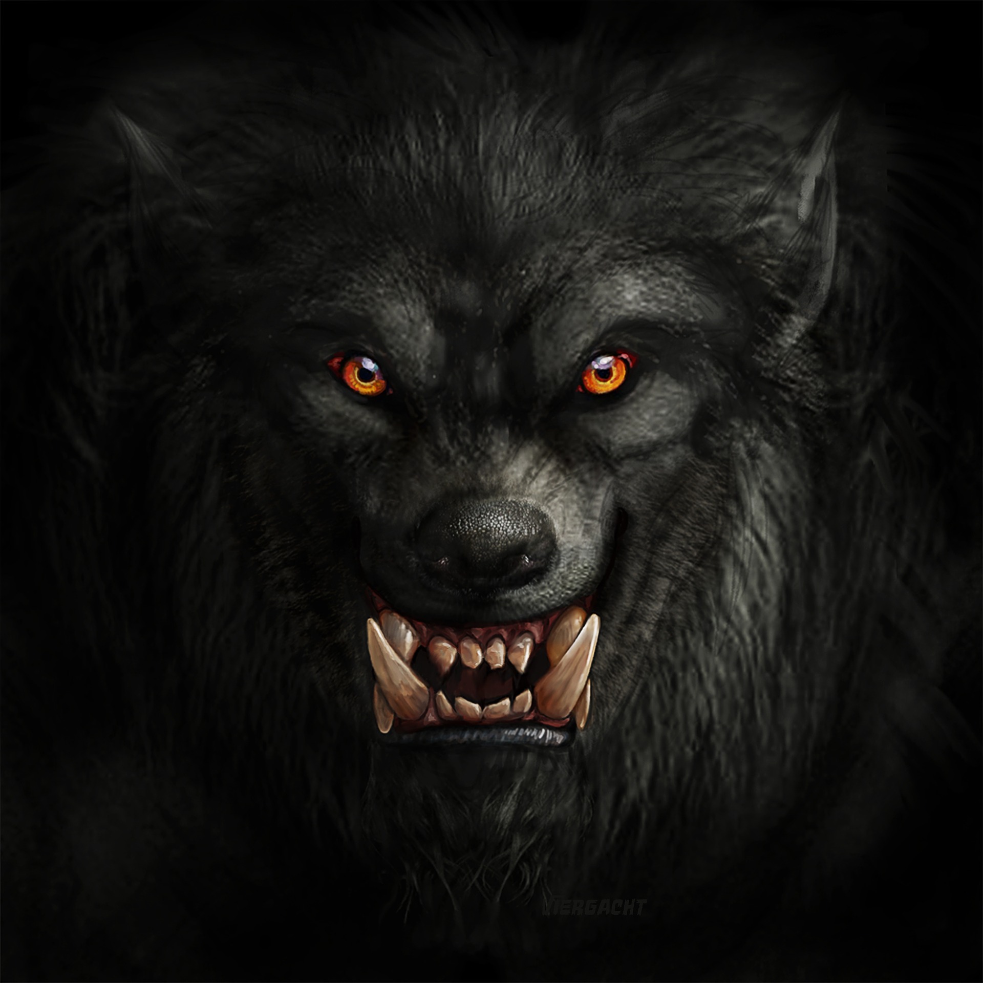 One Night Ultimate Werewolf - Der ultimative Spielspaß - Spiele fuer Dich
